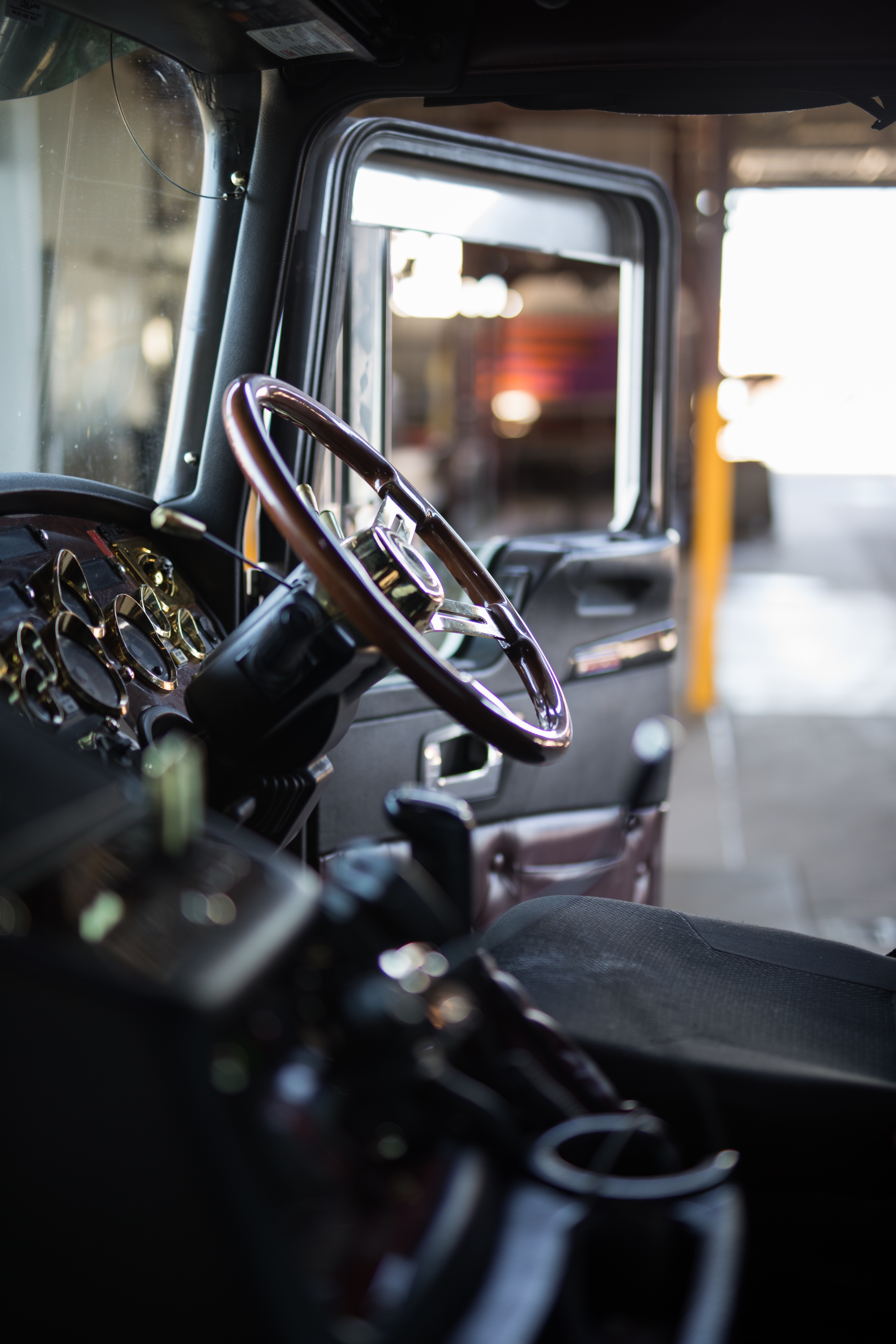 Truck Driver Cushions