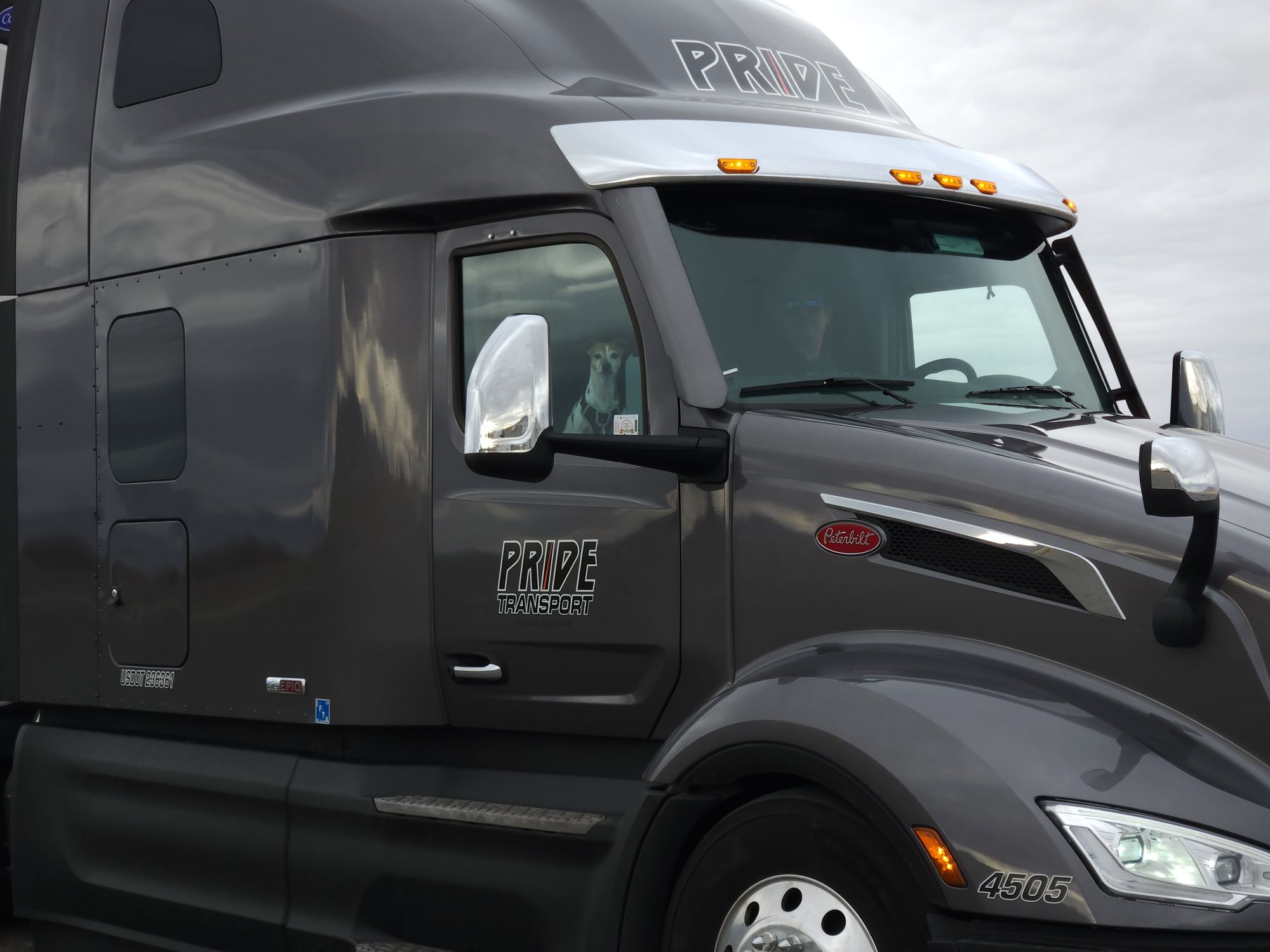 dog and driver in a pride transport truck