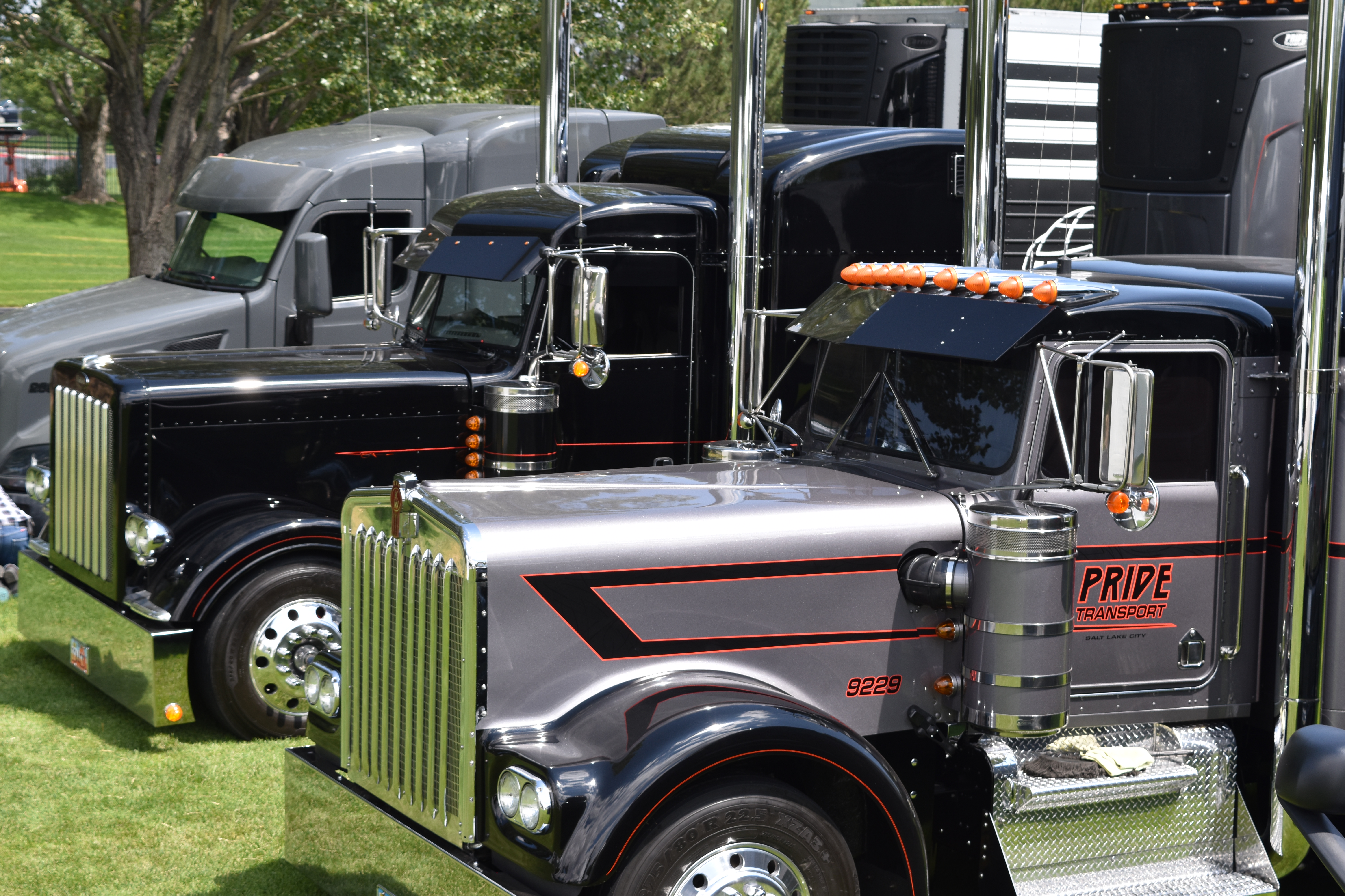 pride transport trucks lined up parked in grass