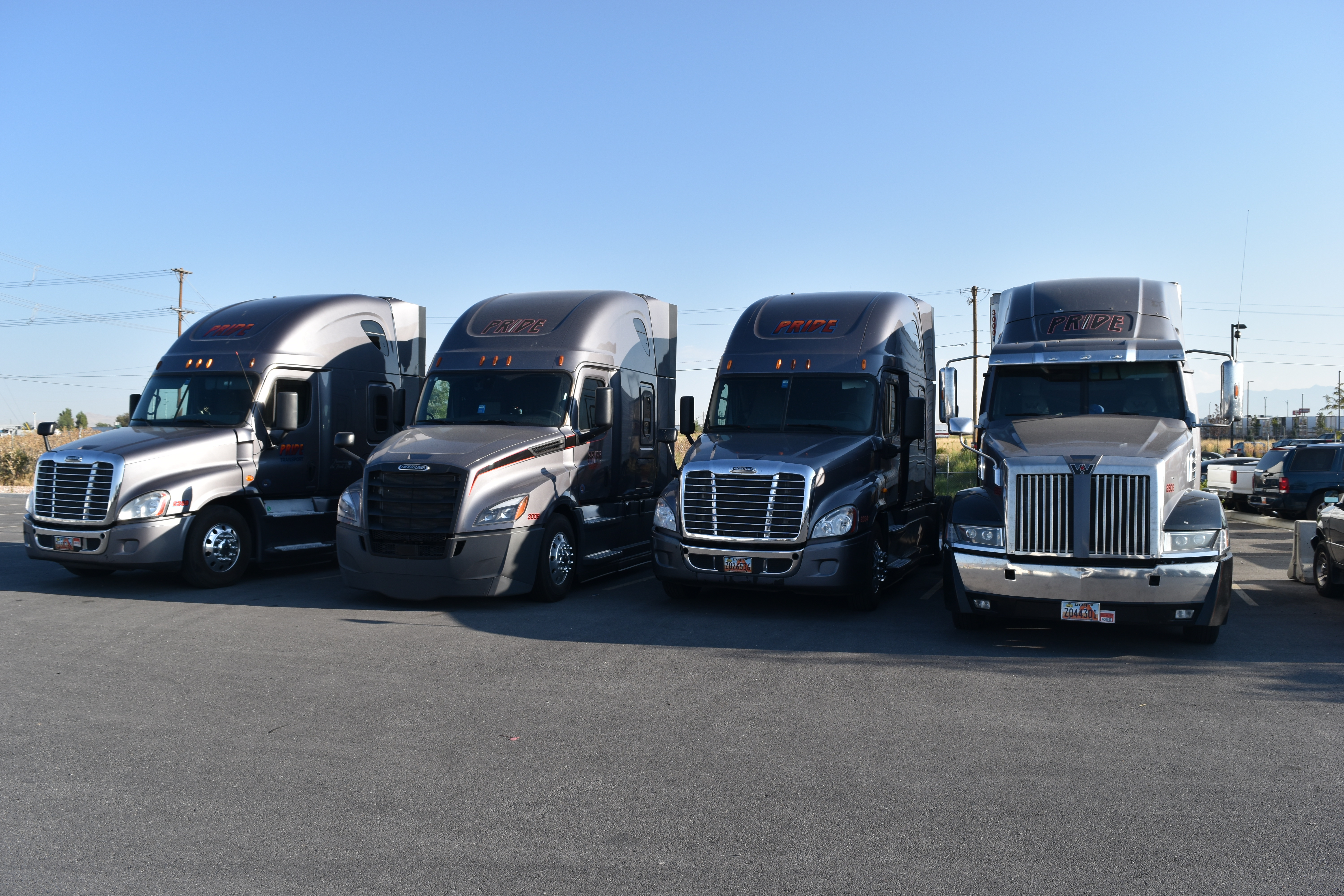 four pride transport trucks sitting in a line