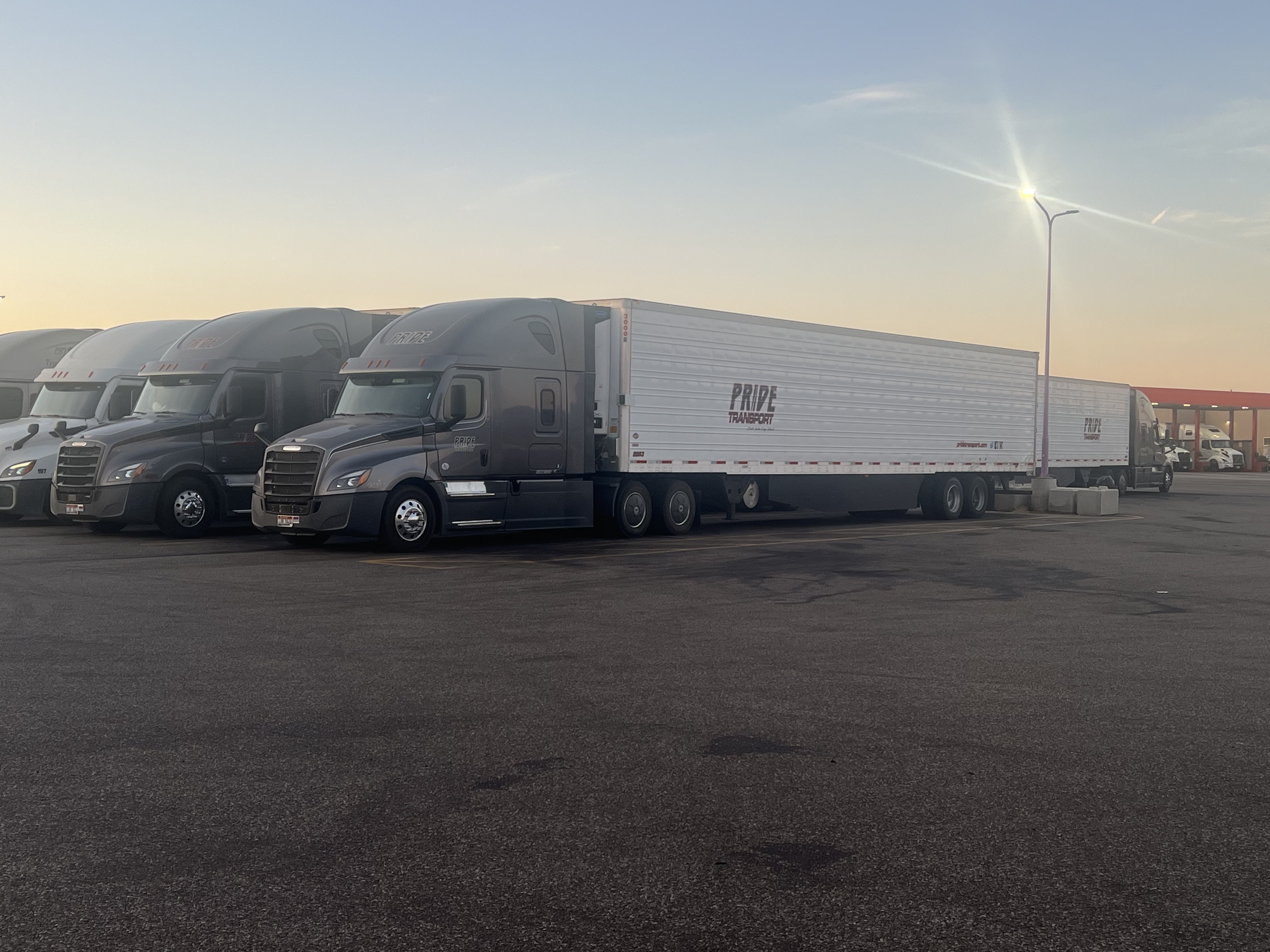multiple pride transport trucks parked next to each other at dusk